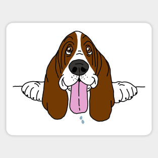 Basset hound Sticker